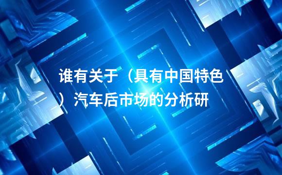 谁有关于（具有中国特色）汽车后市场的分析研