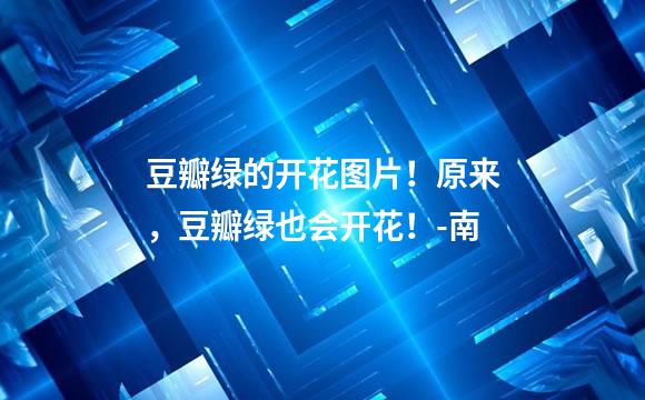 豆瓣绿的开花图片！原来，豆瓣绿也会开花！-南