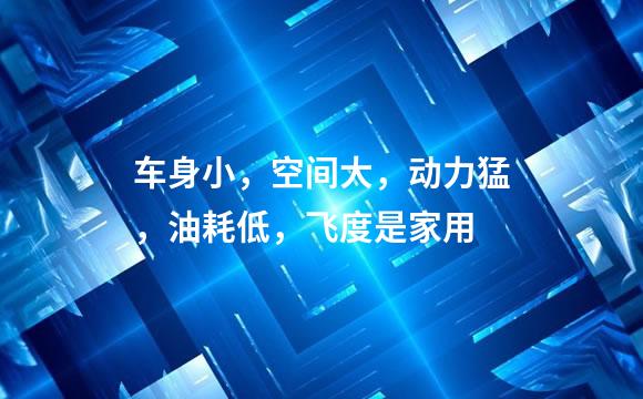 车身小，空间大，动力猛，油耗低，飞度是家用