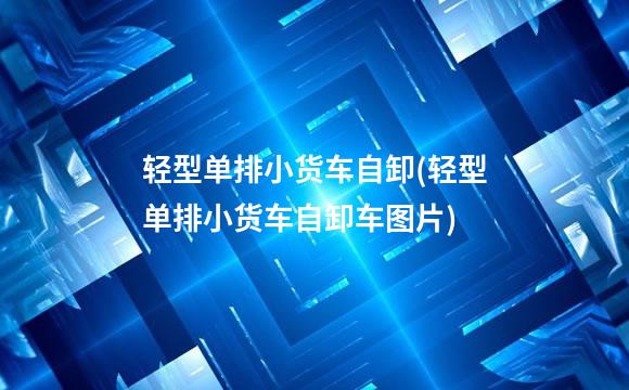 轻型单排小货车自卸(轻型单排小货车自卸车图片)