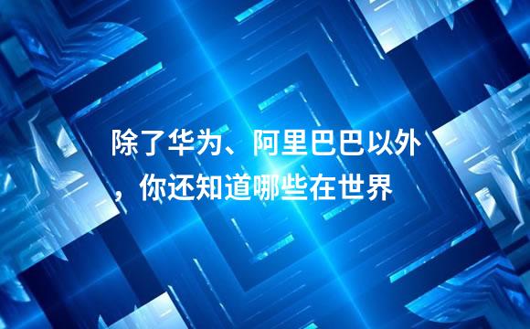 除了华为、阿里巴巴以外，你还知道哪些在世界