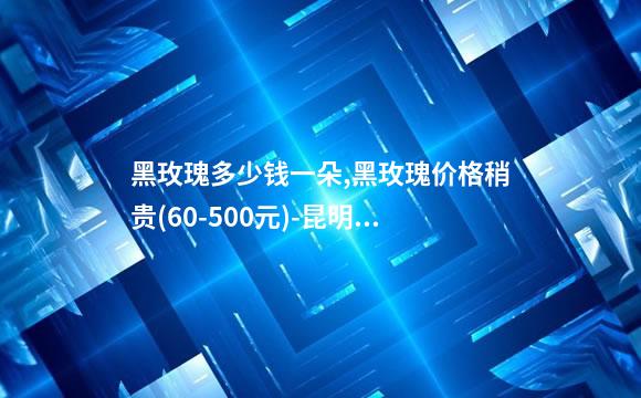 黑玫瑰多少钱一朵,黑玫瑰价格稍贵(60-500元)-昆明鲜花饼批发进货渠道(花艺)